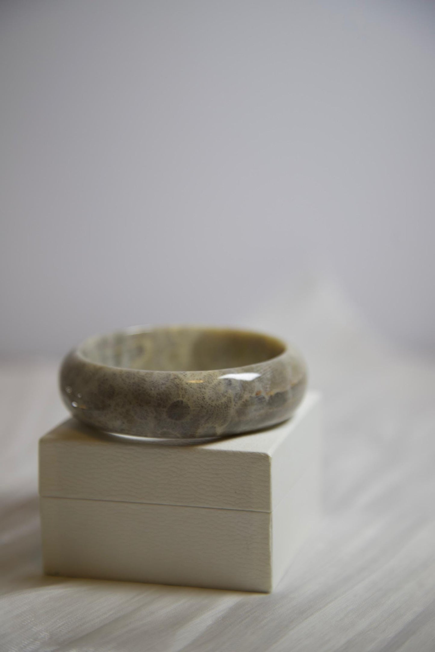 Fossil Coral Stone Bangle: Polished Statement Bracelet, Natural Earth Tones